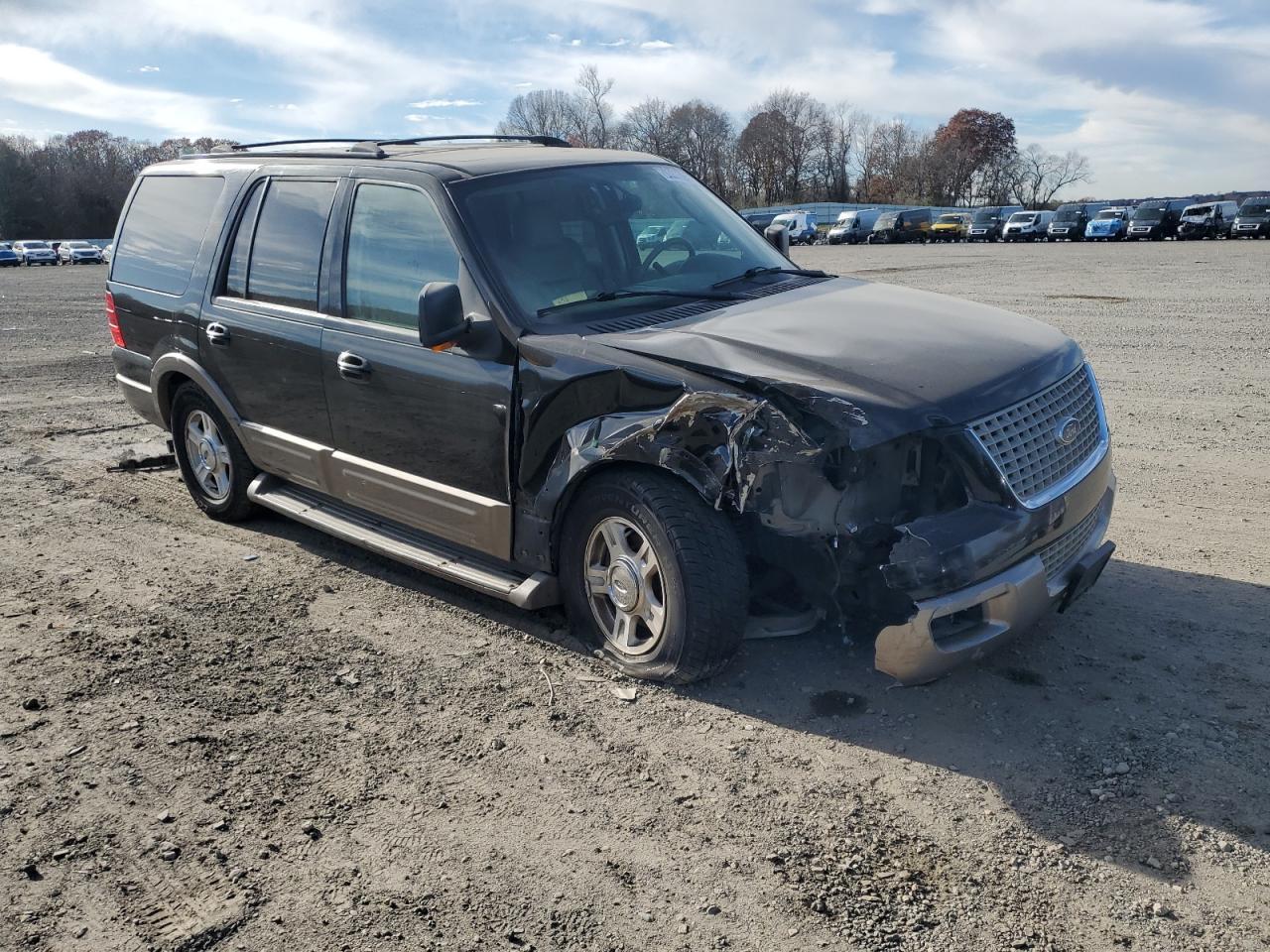 2003 Ford Expedition Eddie Bauer - Фото 4