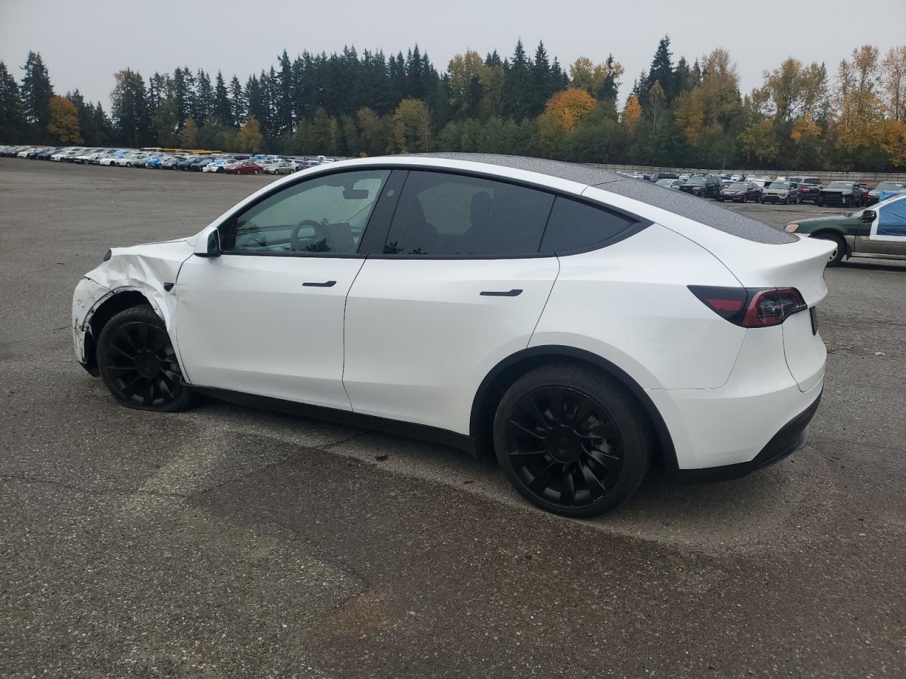 2024 Tesla Model Y - Фото 2