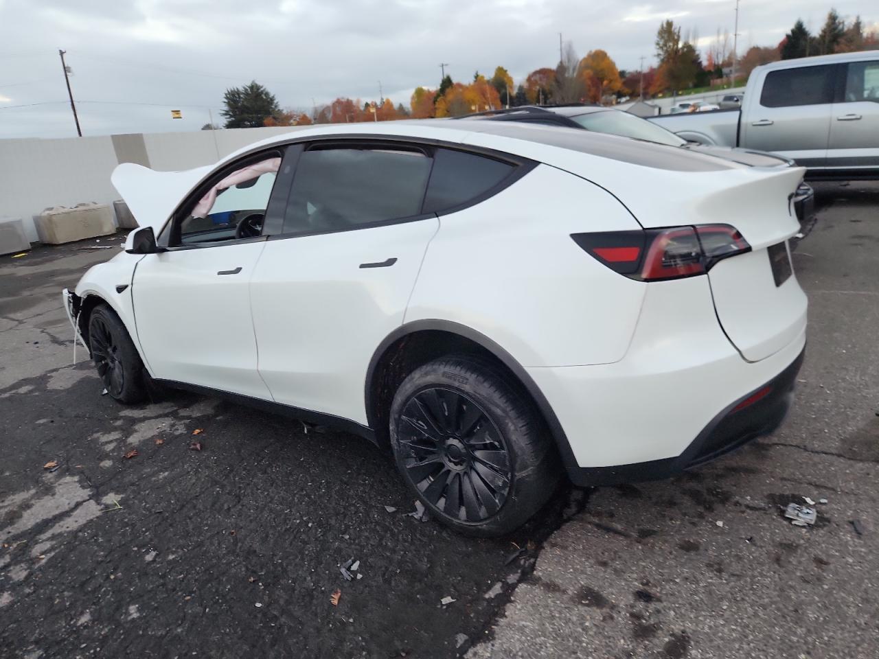 2023 Tesla Model Y - Image 2