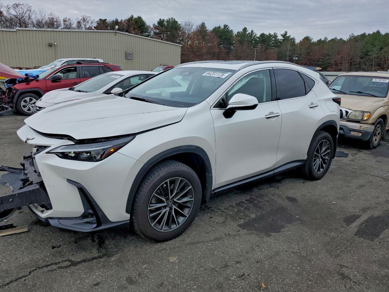 2024 Lexus Nx 350 Base