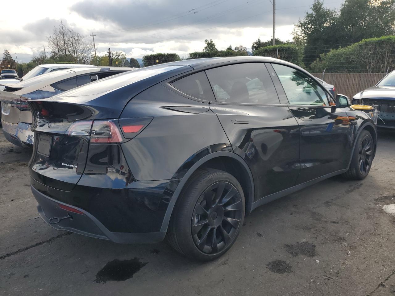 2024 Tesla Model Y - Фото 3