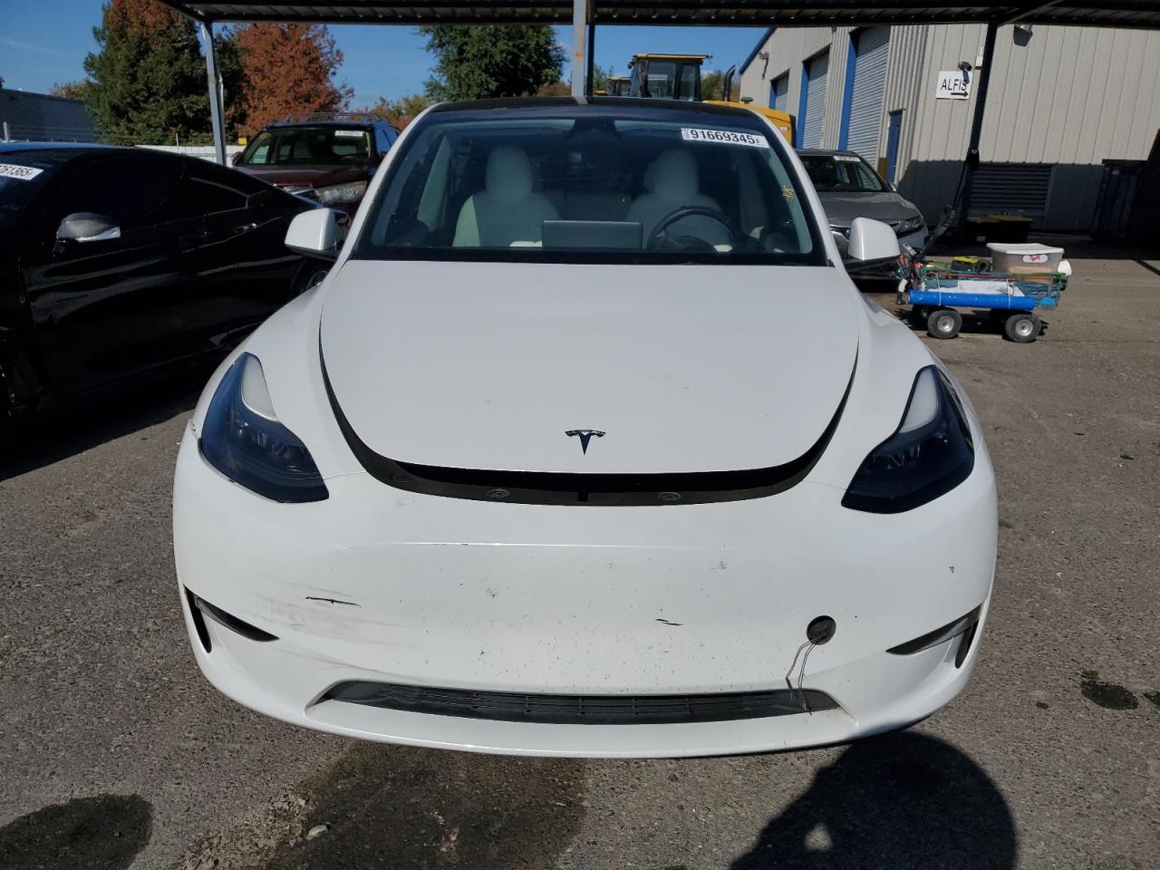 2023 Tesla Model Y - Фото 5