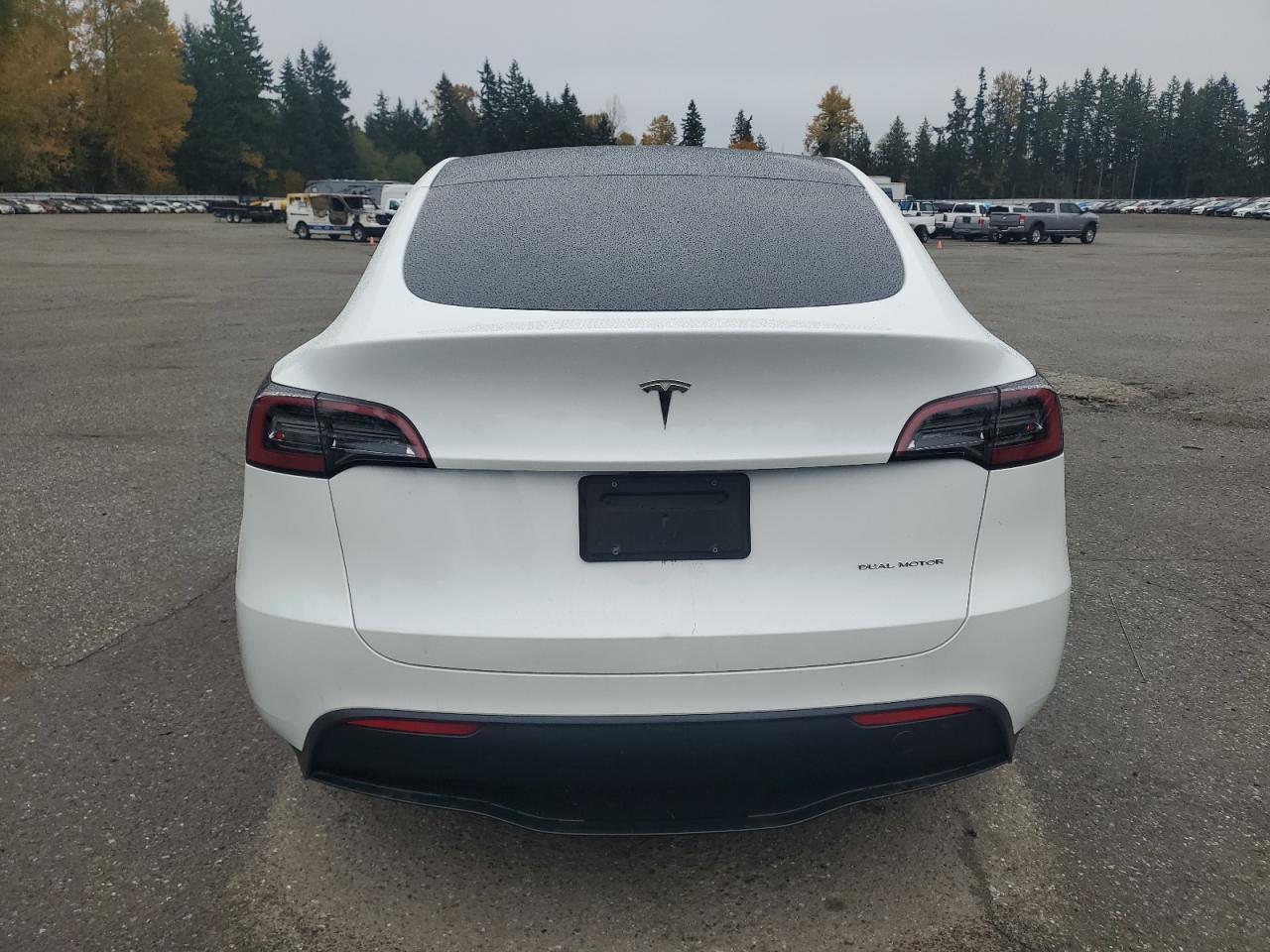 2024 Tesla Model Y - Фото 6