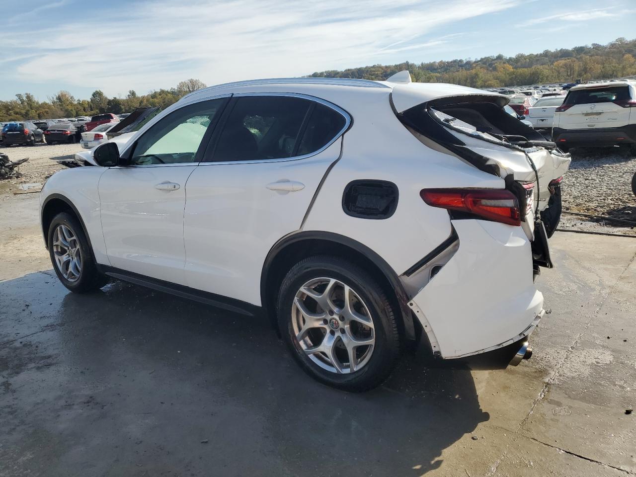 2018 Alfa Romeo Stelvio - Фото 2