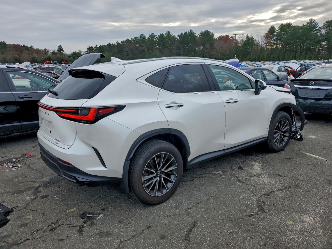 2024 Lexus Nx 350 Base - Фото 3