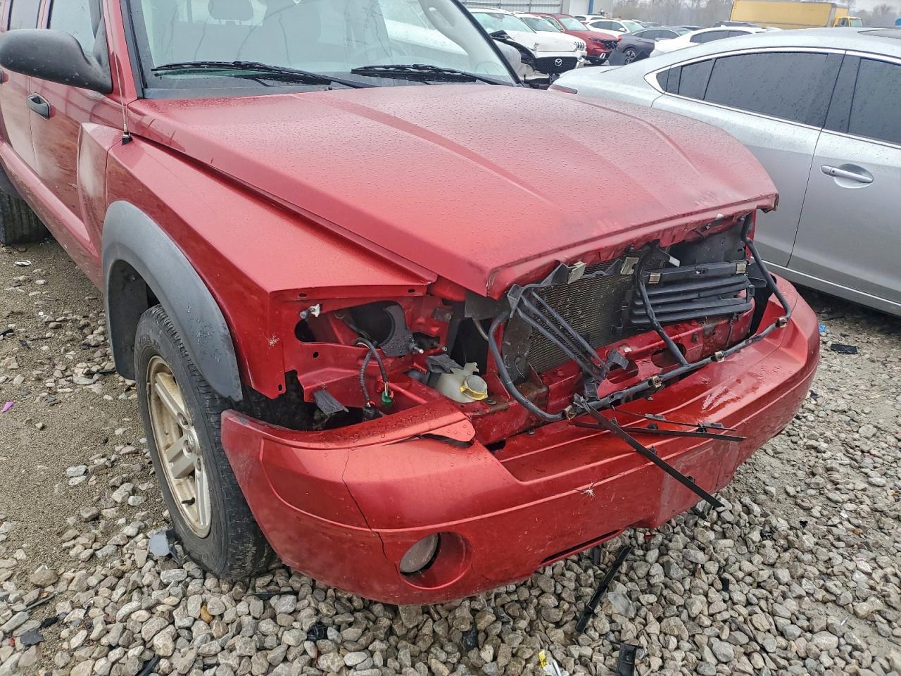 2007 Dodge Dakota Quad - Фото 4