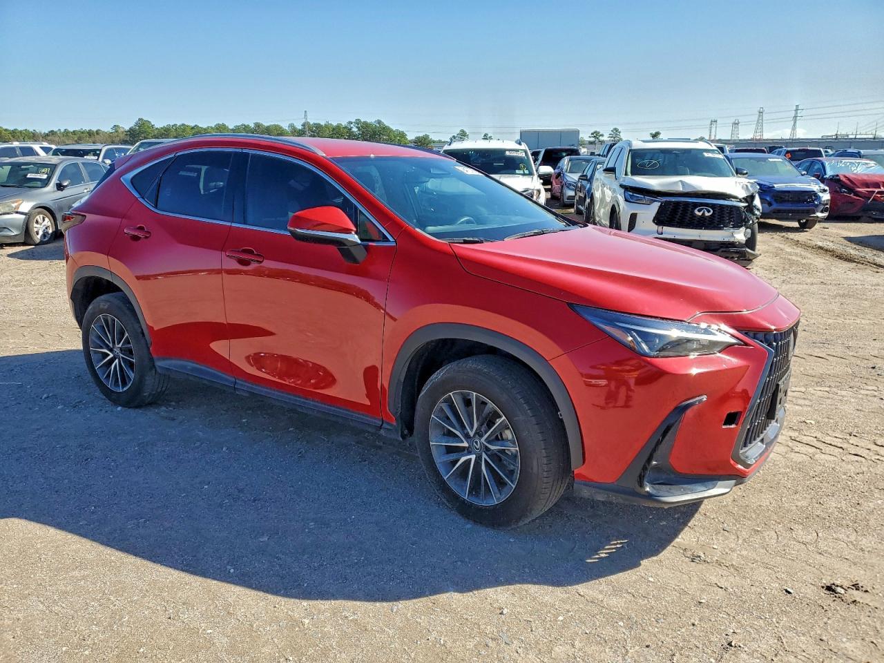 2024 Lexus Nx 250 Base - Фото 4