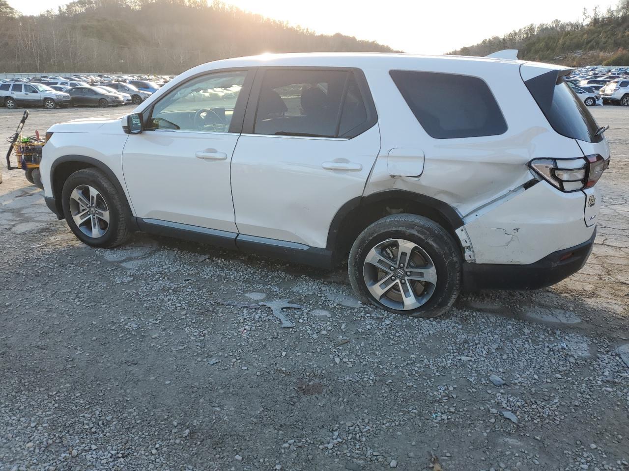 2025 Honda Pilot Exl - Image 2