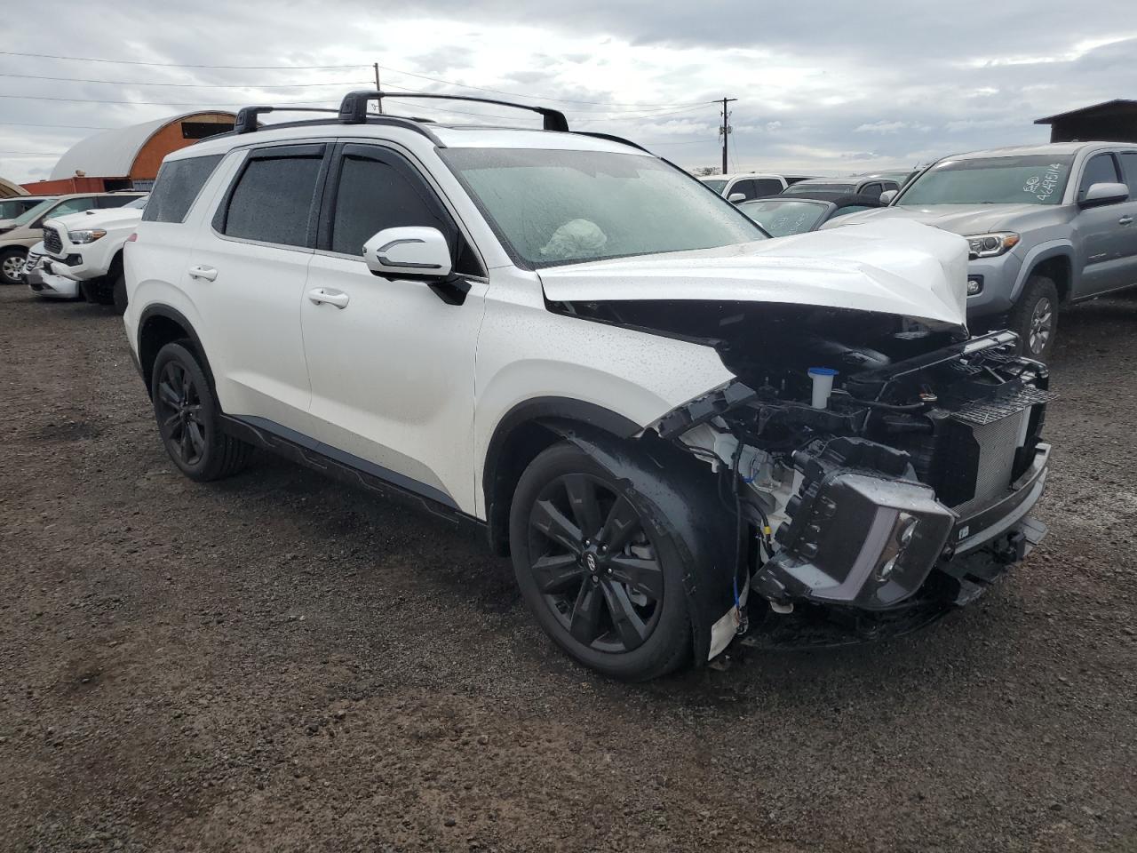 2025 Hyundai Palisade Xrt - Фото 4