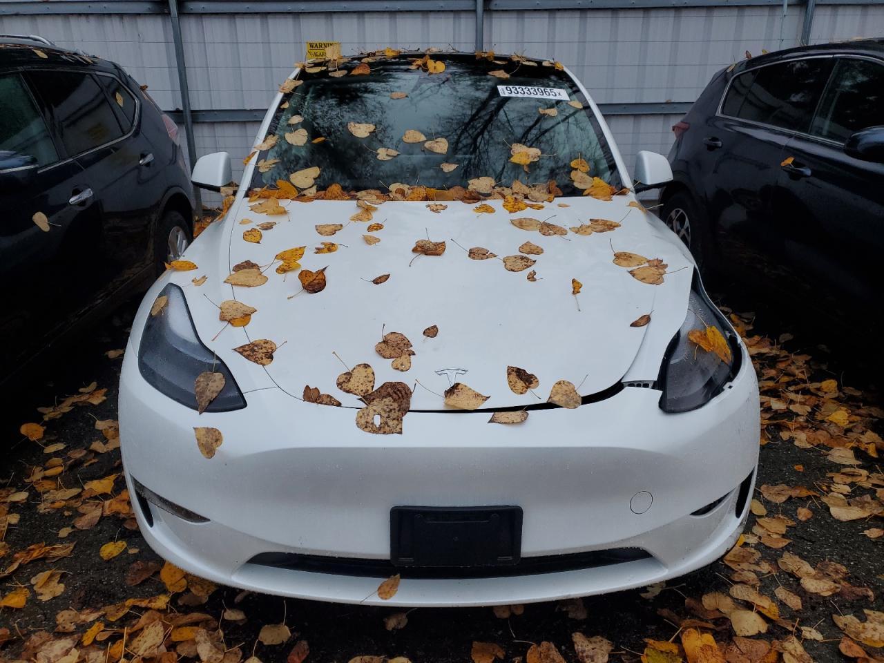 2024 Tesla Model Y - Фото 5
