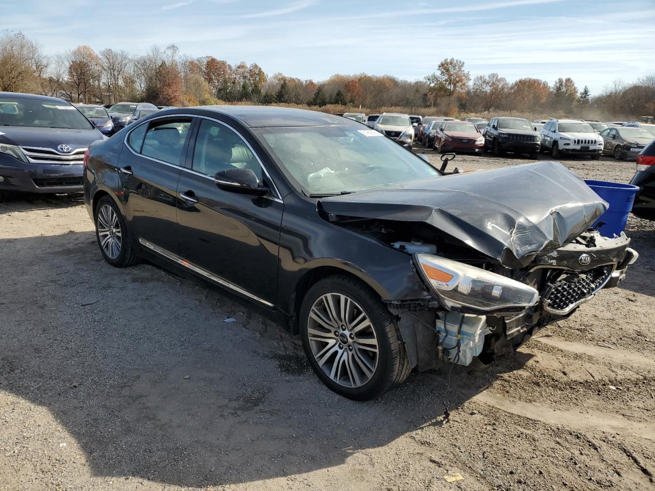 2016 Kia Cadenza Luxury - Фото 4