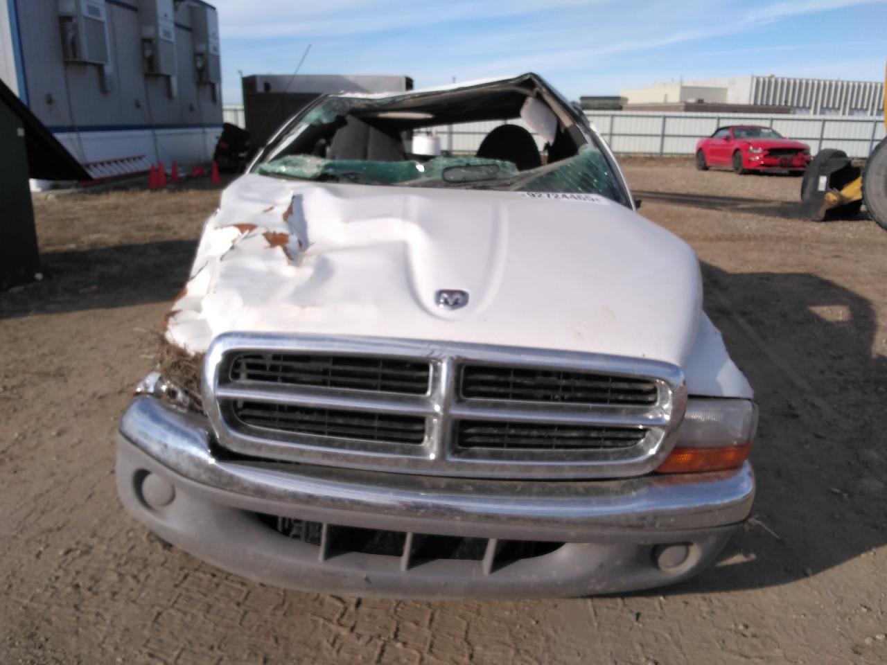 1998 Dodge Dakota - Фото 5