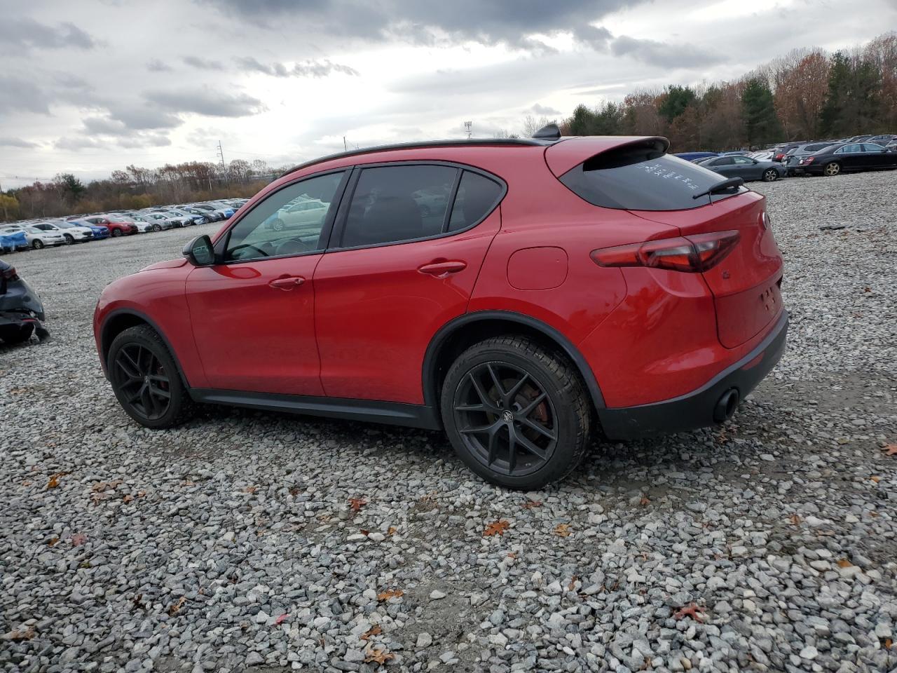 2019 Alfa Romeo Stelvio Ti - Фото 2