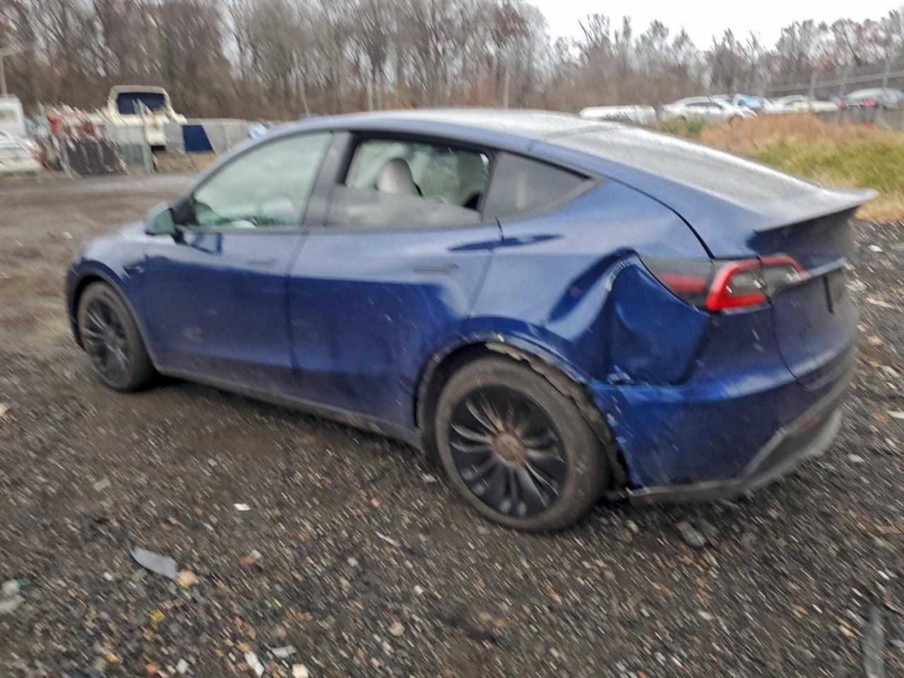 2021 Tesla Model Y - Image 2