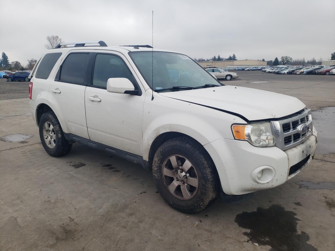 2009 Ford Escape Limited - Фото 4
