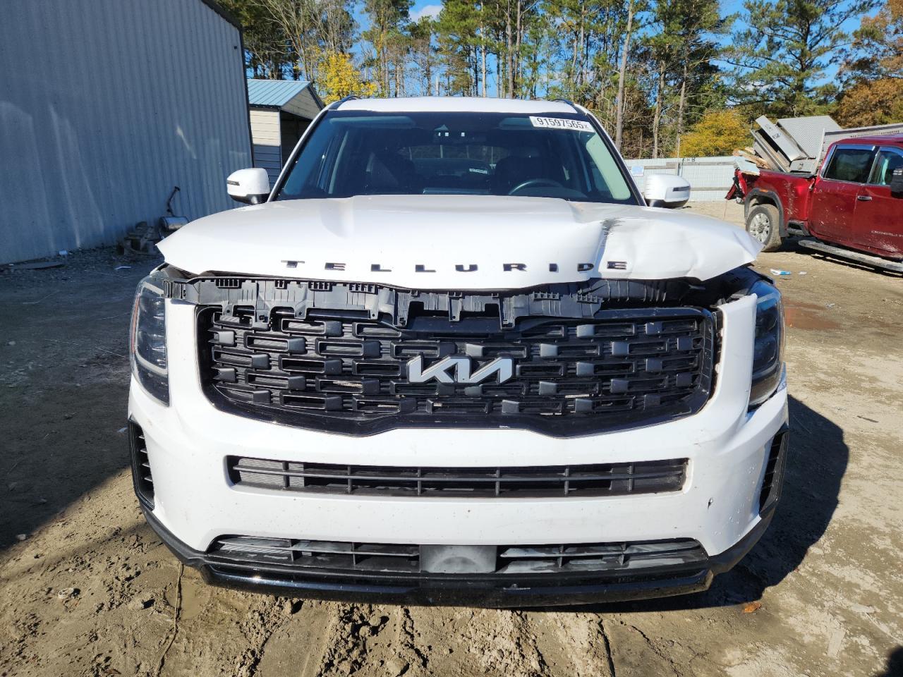 2022 Kia Telluride Ex - Фото 5