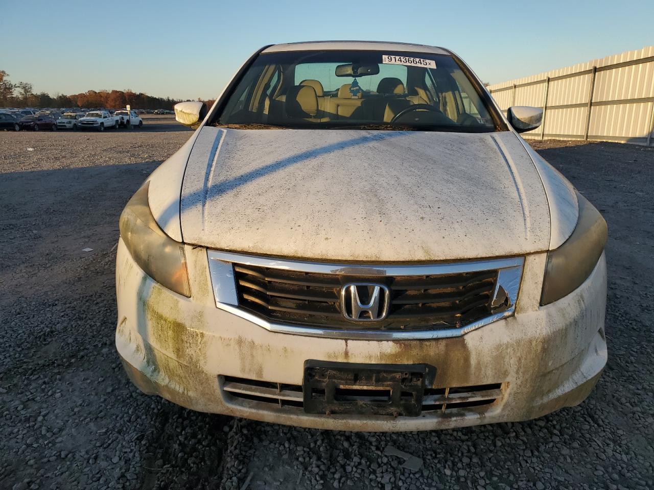 2008 Honda Accord Exl - Фото 5