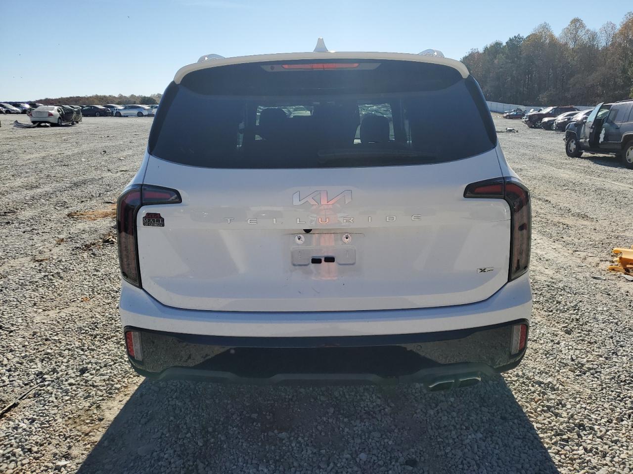 2024 Kia Telluride Sx - Image 6