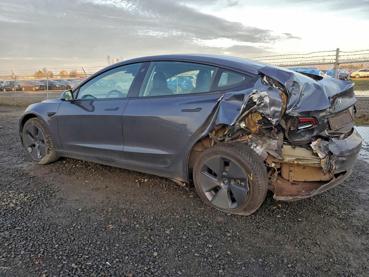 2022 Tesla Model 3 - Фото 2