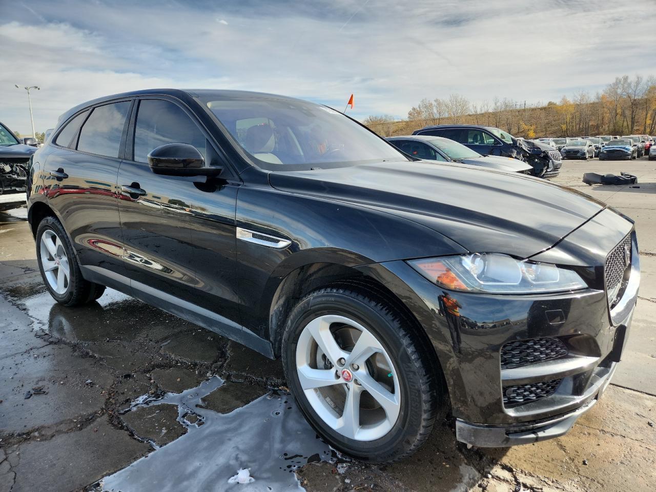 2017 Jaguar F-Pace Premium - Фото 4