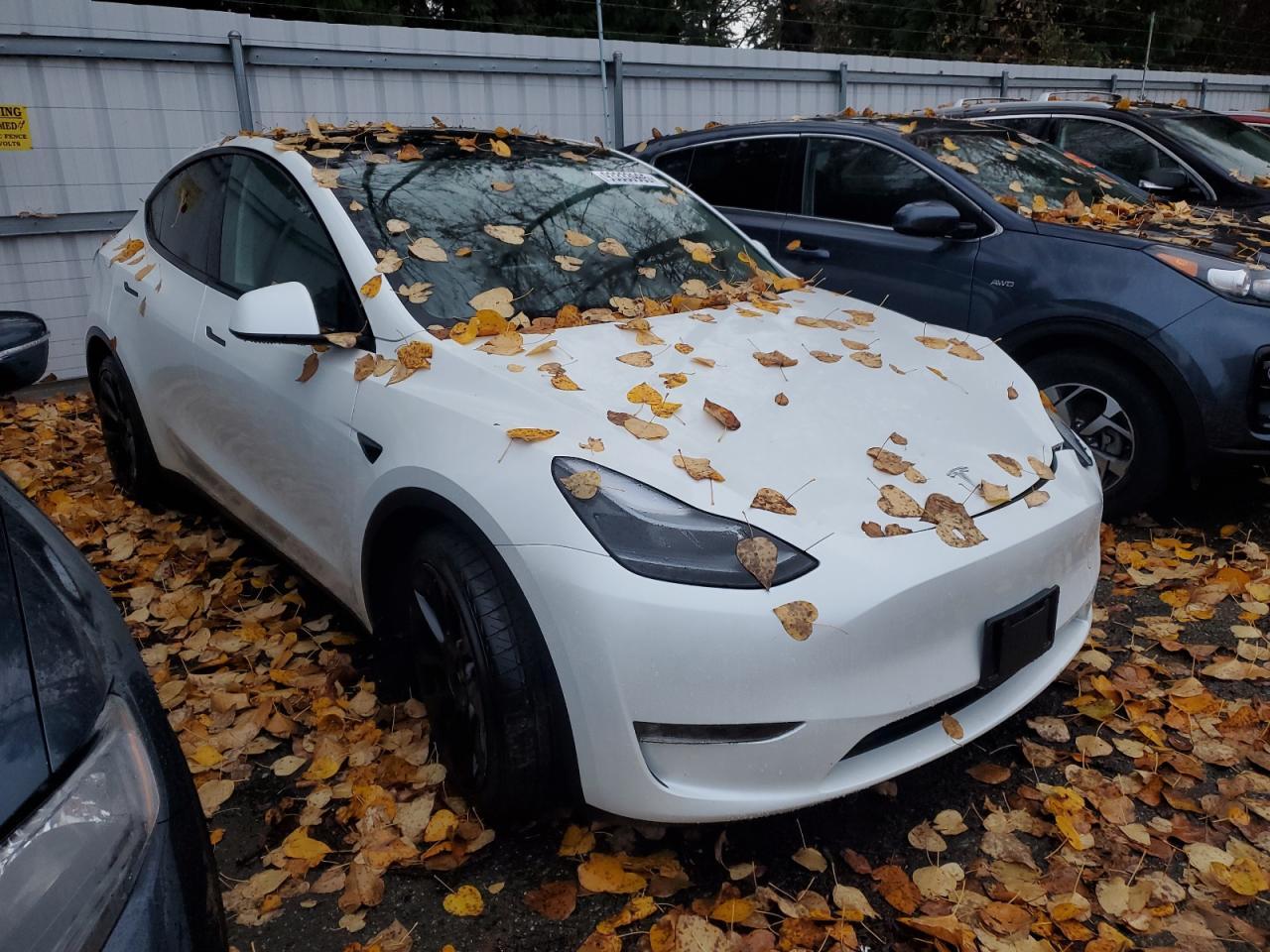 2024 Tesla Model Y - Фото 4
