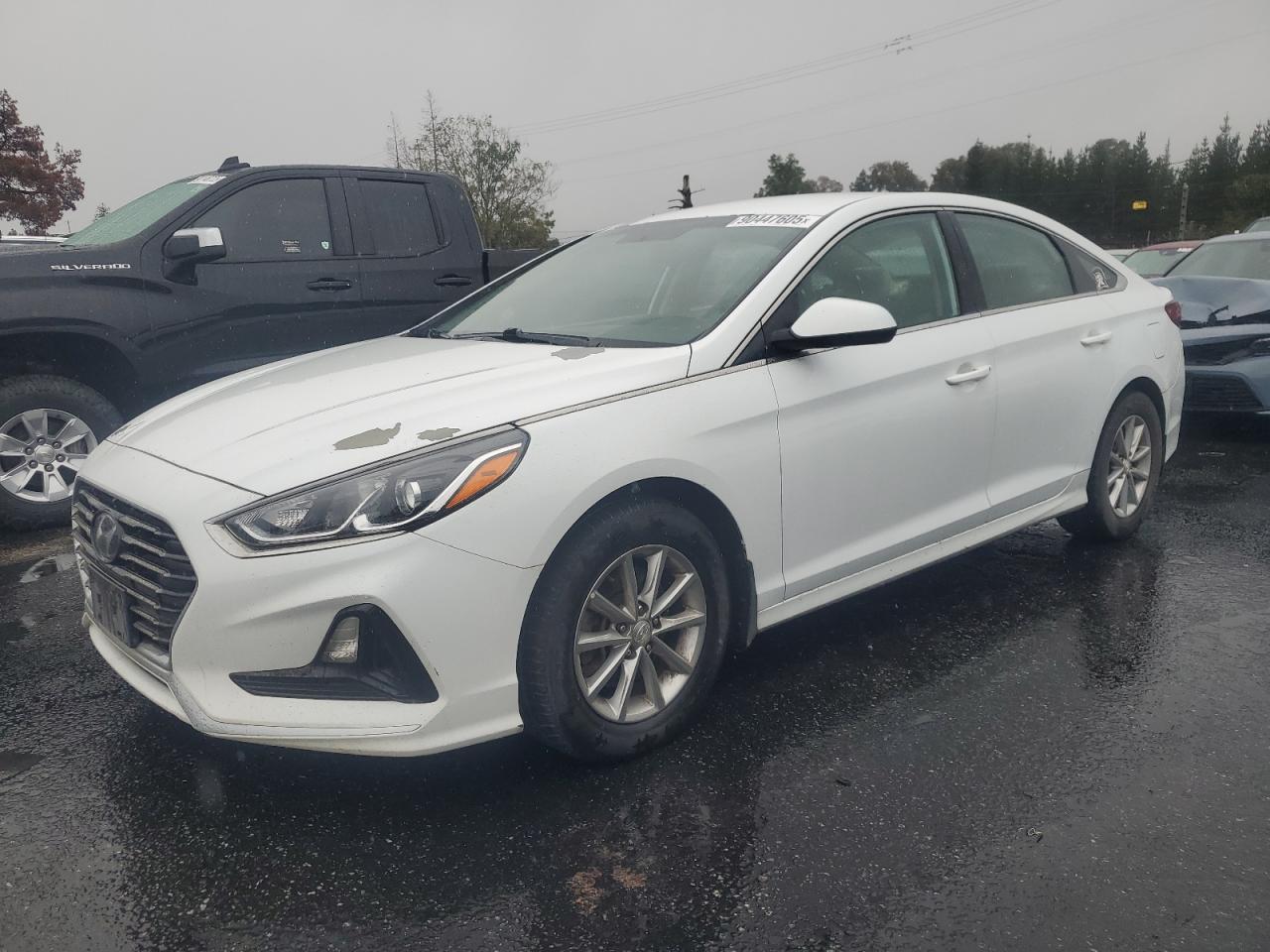 2019 Hyundai Sonata Se