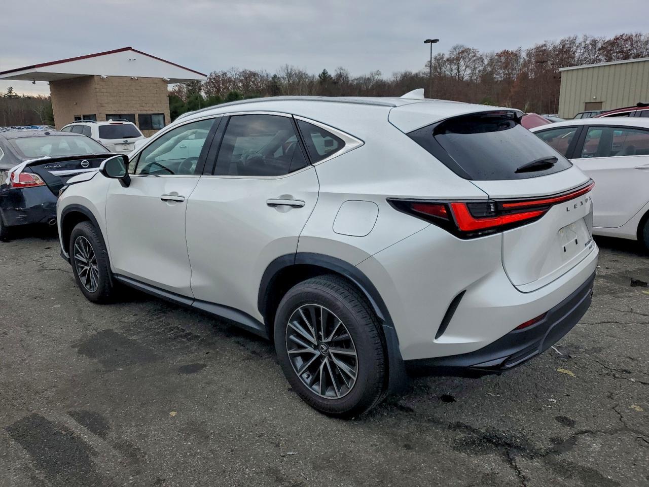 2024 Lexus Nx 350 Base - Фото 2