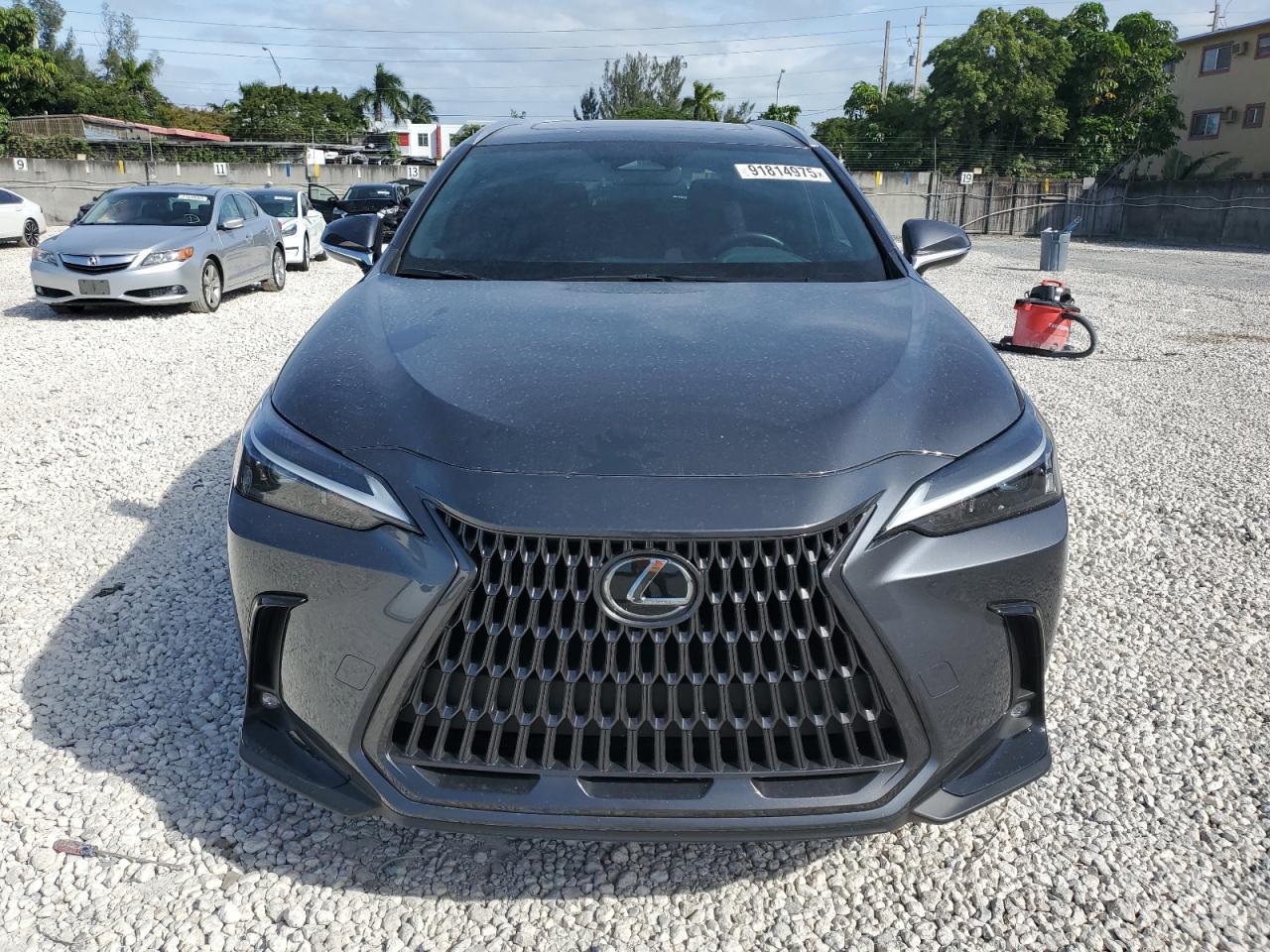 2024 Lexus Nx 250 Base - Image 5
