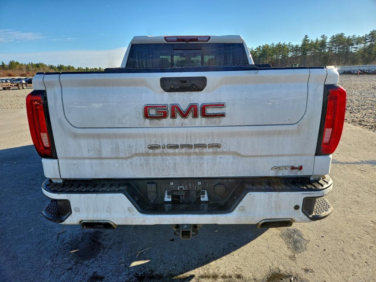 2020 GMC Sierra K1500 At4 - Фото 6