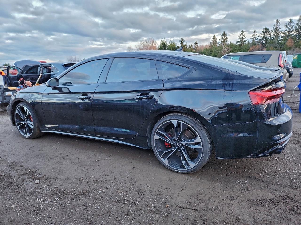 2023 Audi S5 Prestige - Фото 2
