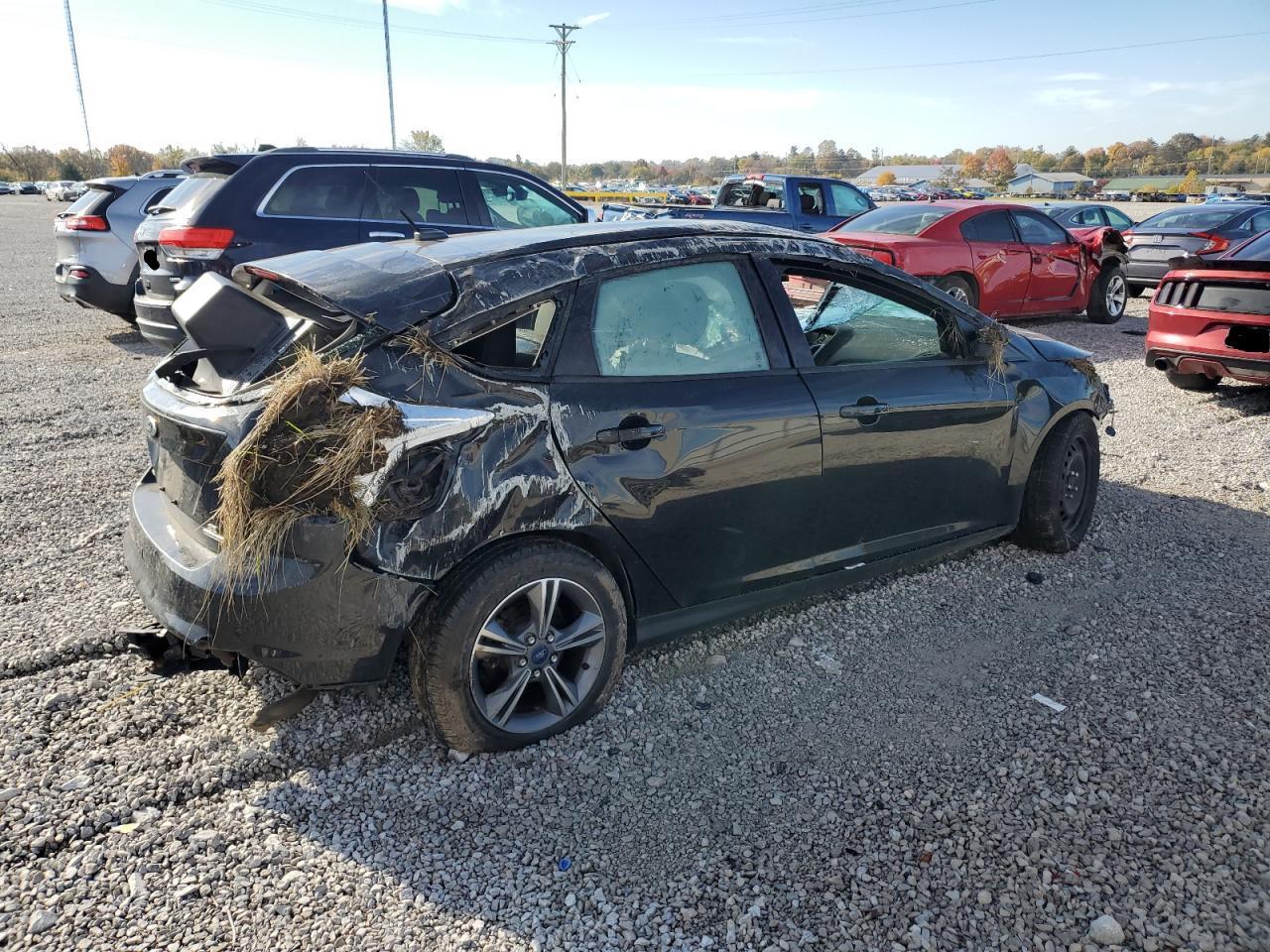 2014 Ford Focus Se - Image 3