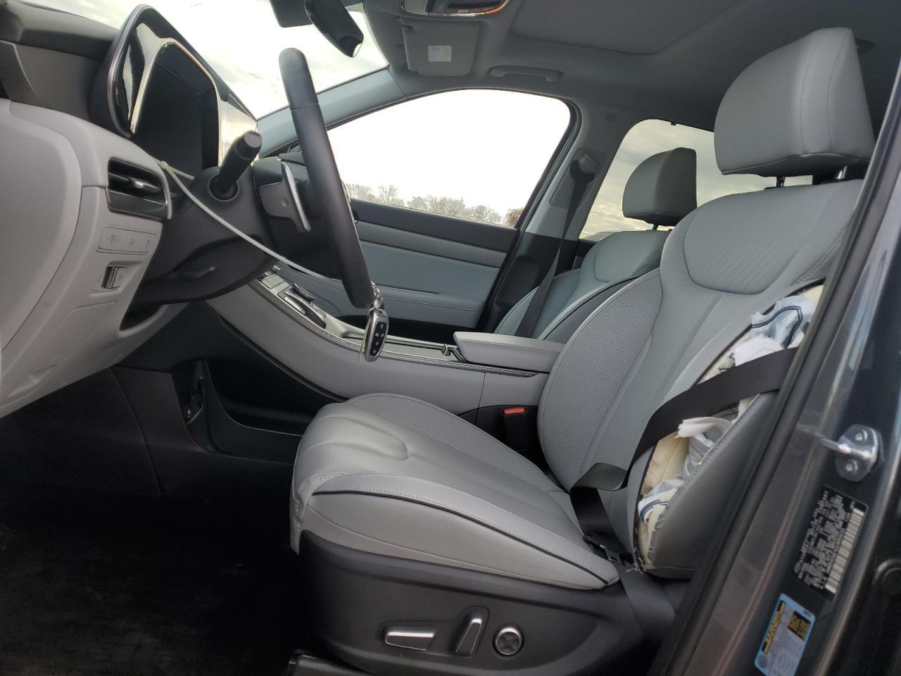 2025 Hyundai Palisade Sel Premium - Фото 7