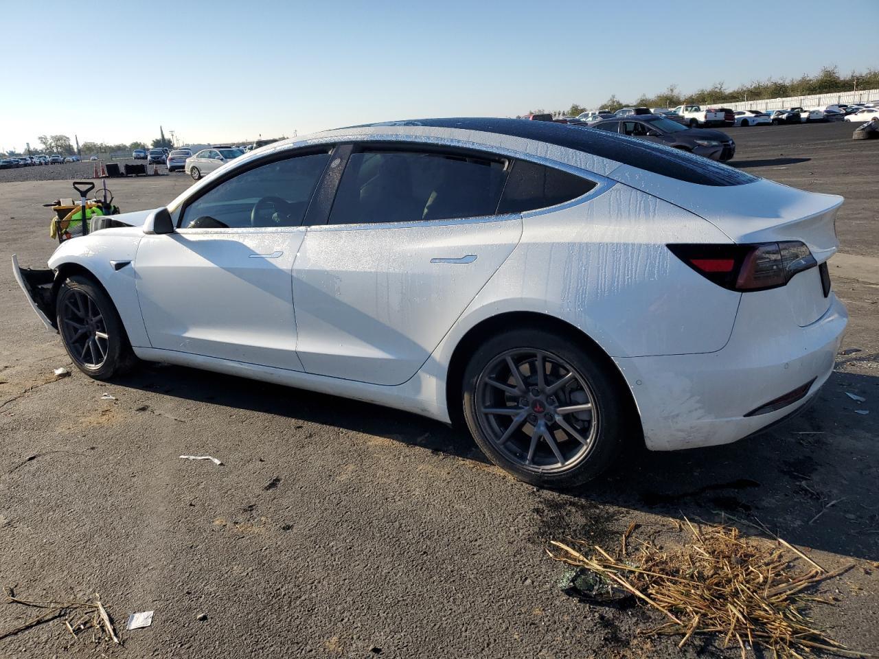 2019 Tesla Model 3 - Фото 2