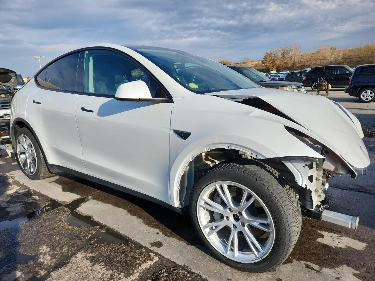 2023 Tesla Model Y - Фото 4