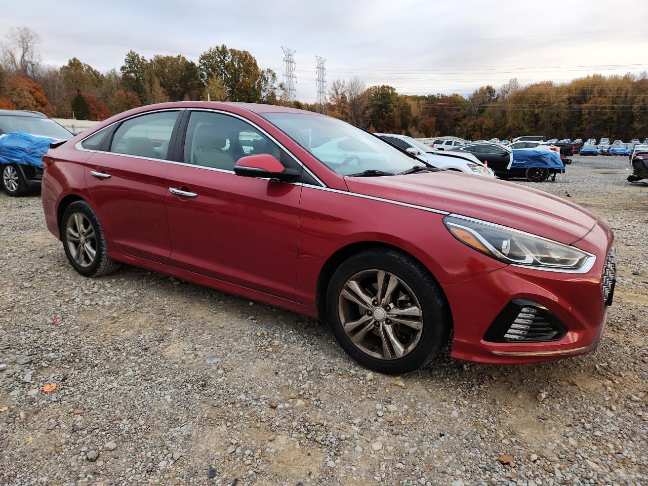 2019 Hyundai Sonata Limited - Фото 4