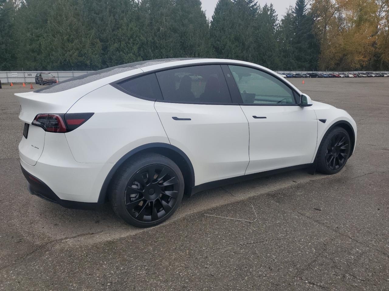 2024 Tesla Model Y - Фото 3