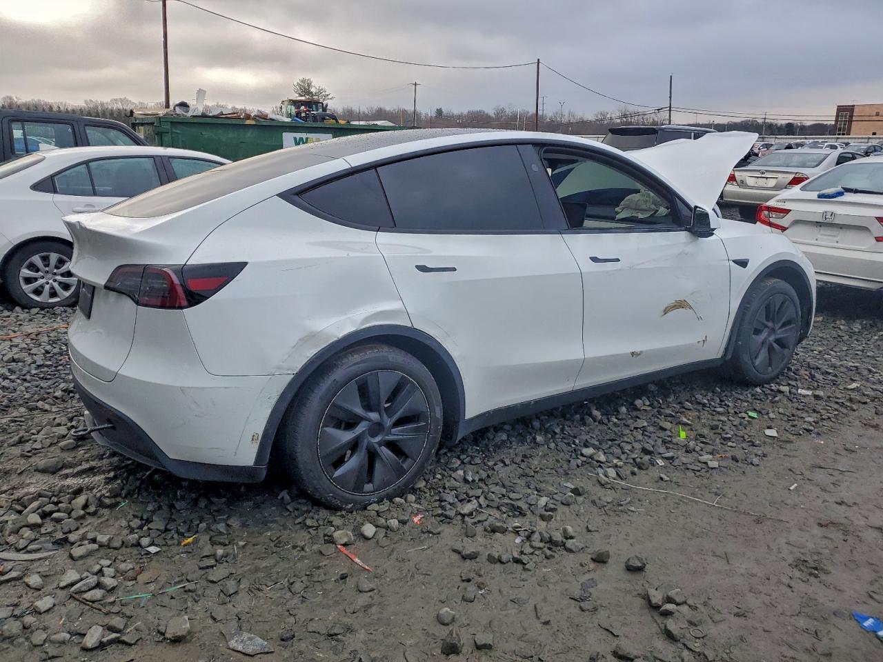 2025 Tesla Model Y - Фото 3