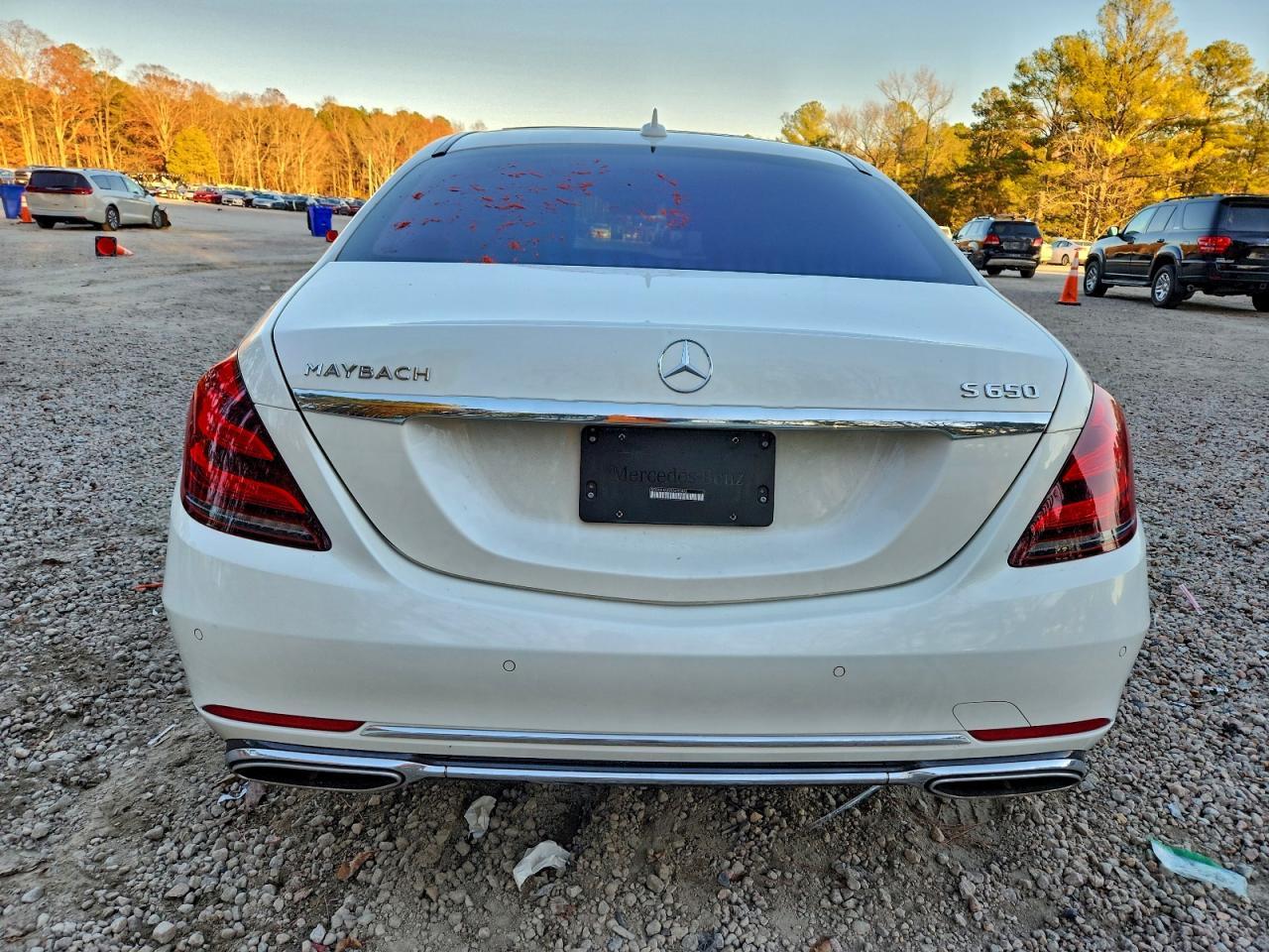 2019 Mercedes-Benz S Mercedes-Maybach S650 - Фото 6
