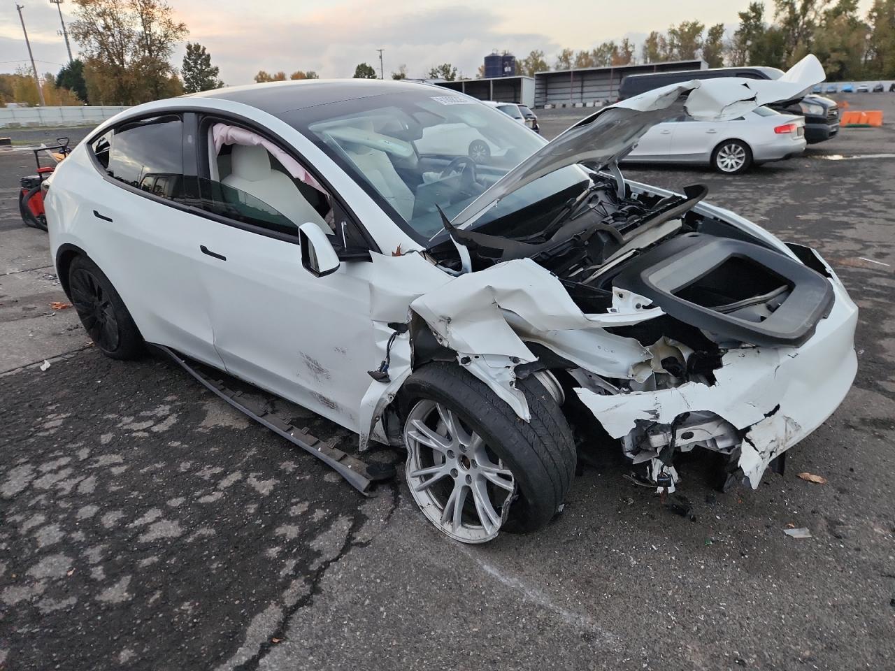 2023 Tesla Model Y - Image 4