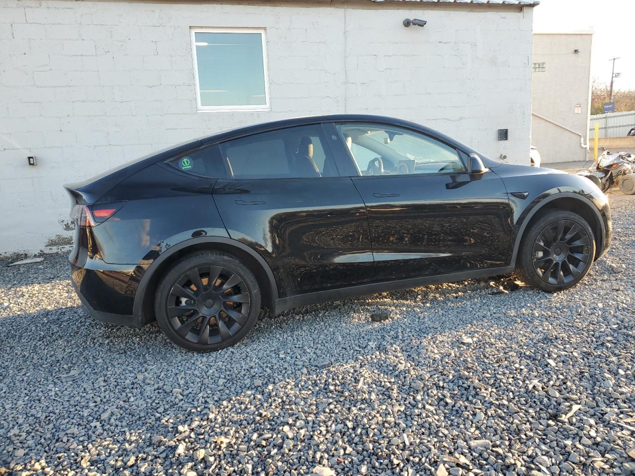 2023 Tesla Model Y - Фото 3