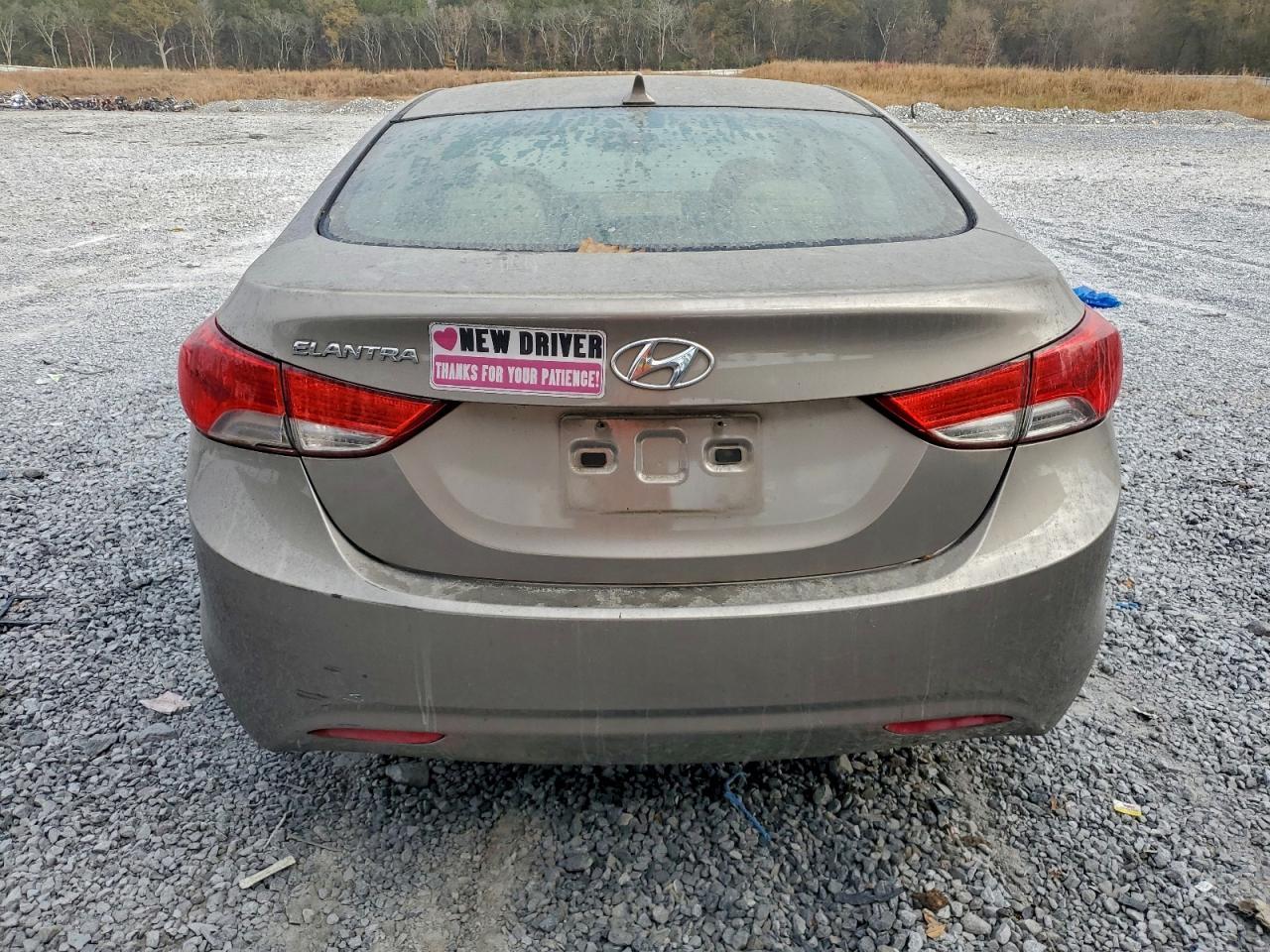 2013 Hyundai Elantra Gls - Фото 6