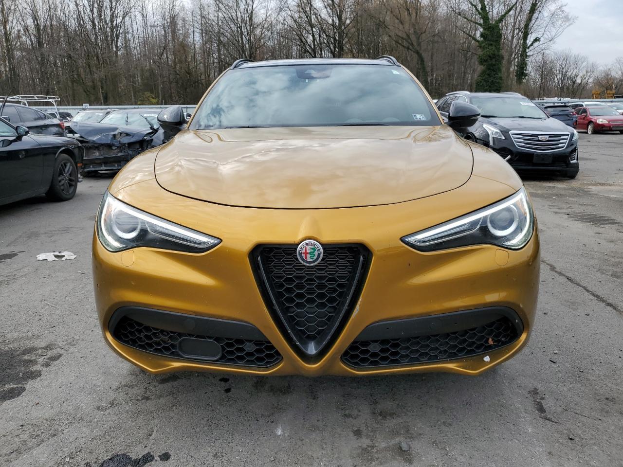 2023 Alfa Romeo Stelvio Ti - Image 5