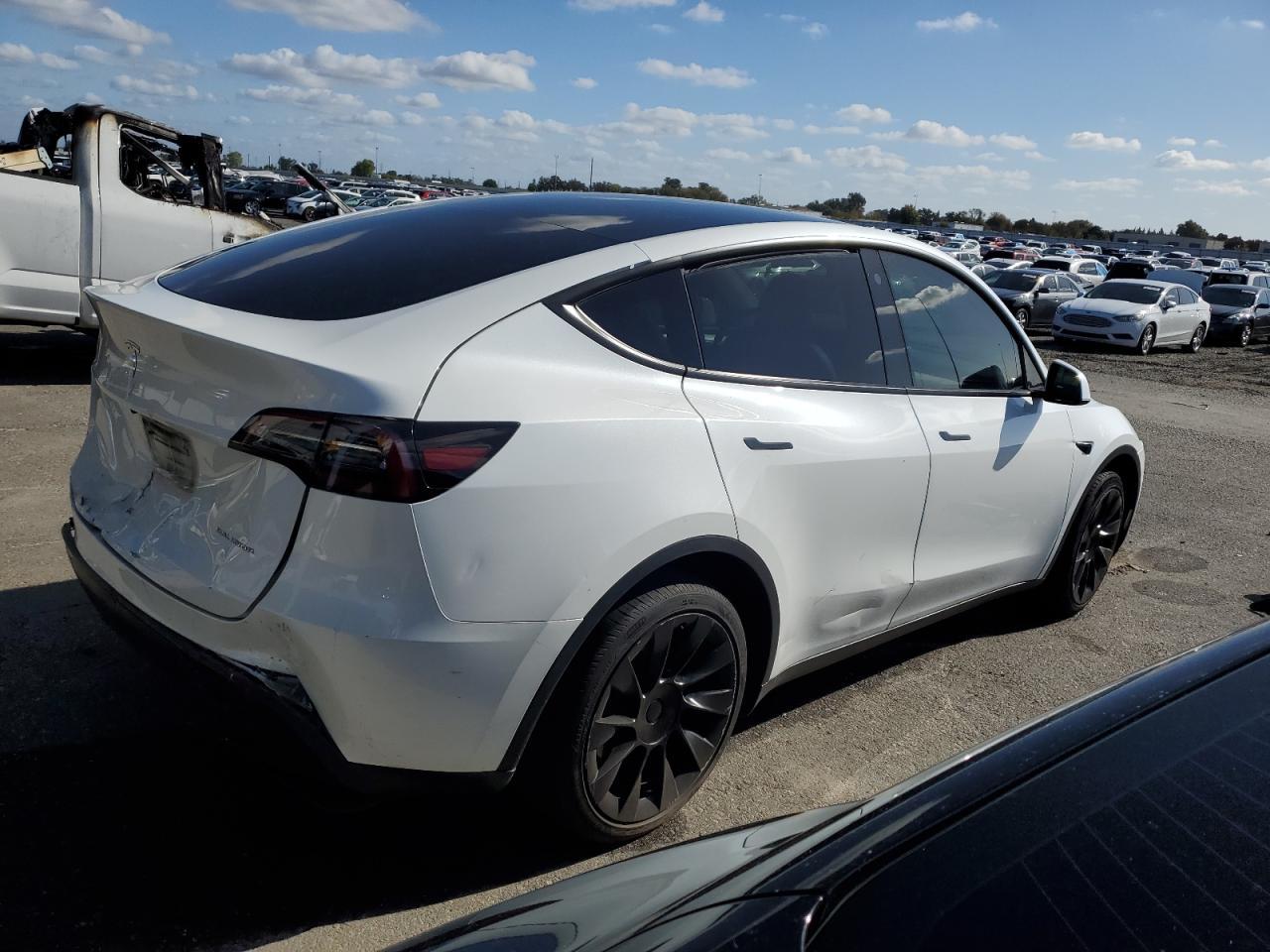 2023 Tesla Model Y - Фото 3