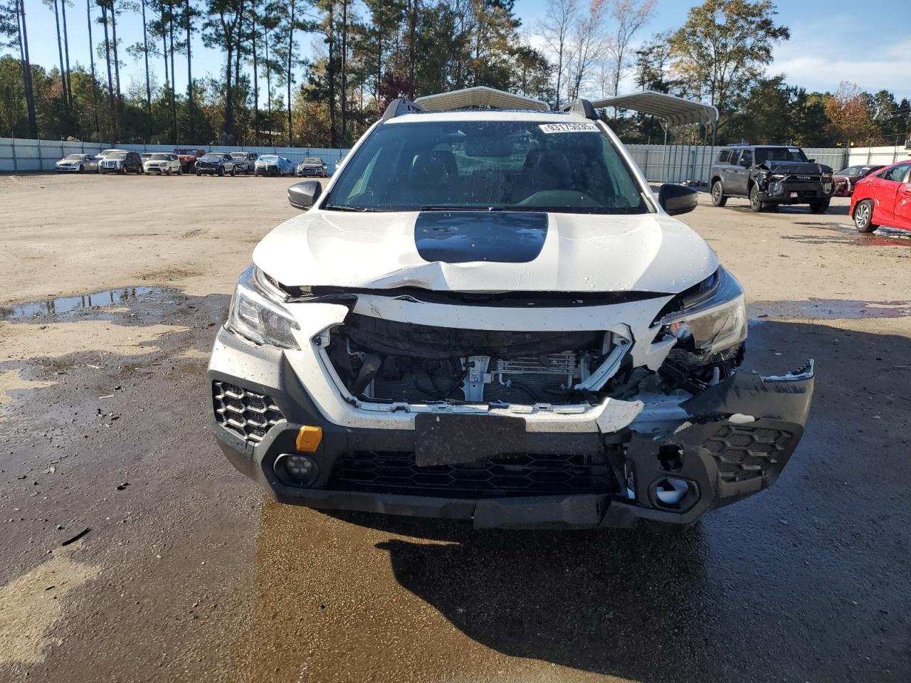 2024 Subaru Outback Wilderness - Фото 5