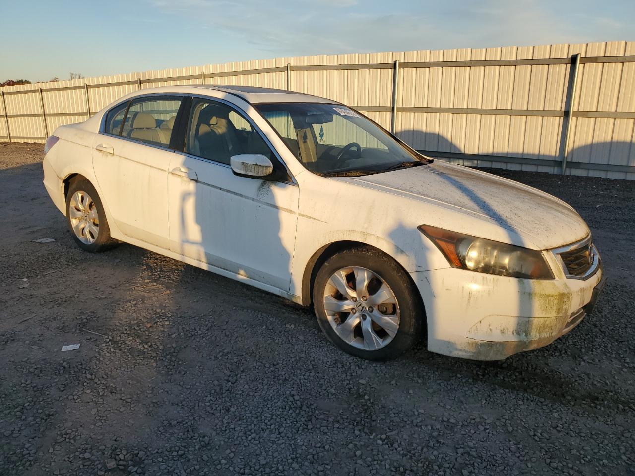 2008 Honda Accord Exl - Фото 4