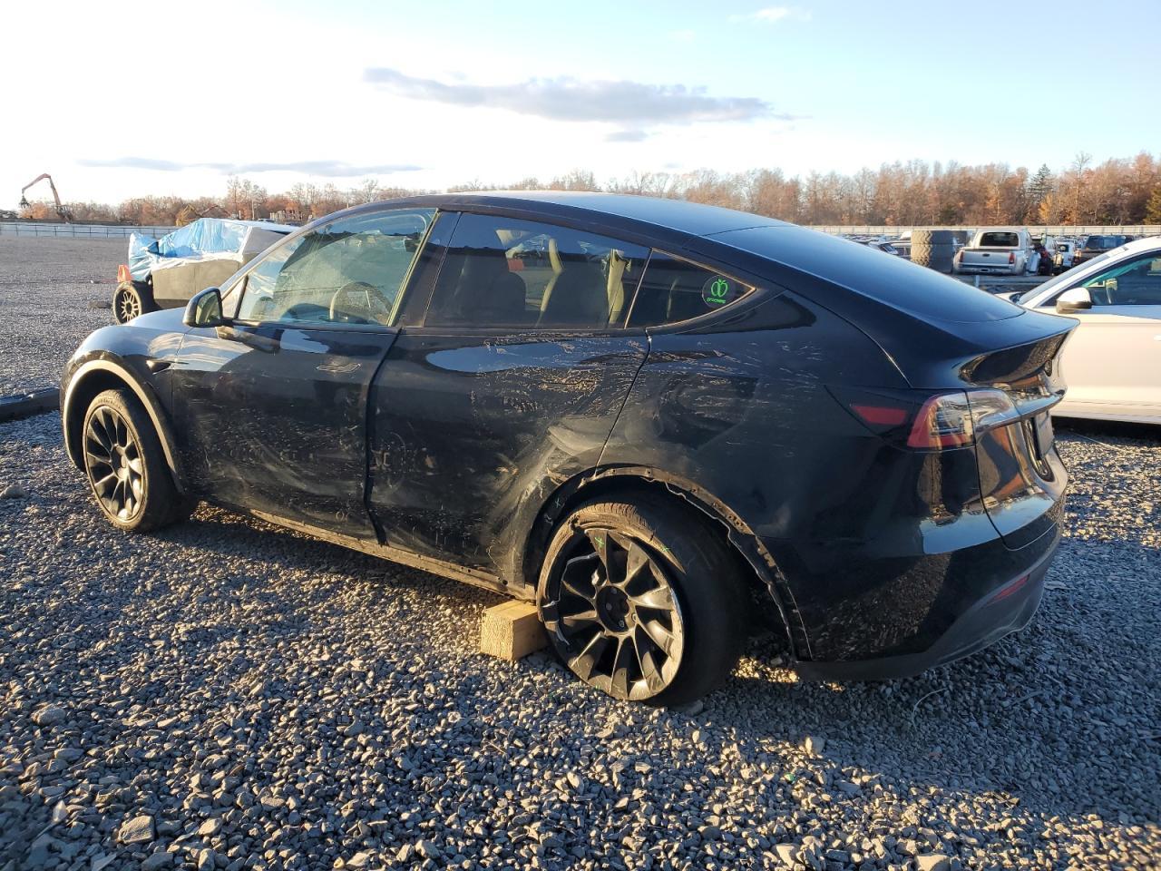 2023 Tesla Model Y - Фото 2