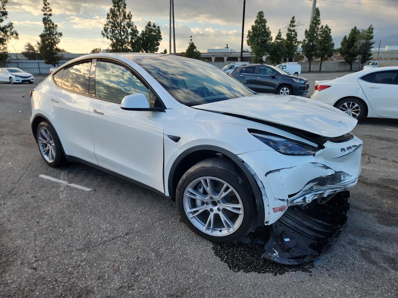 2024 Tesla Model Y - Фото 4