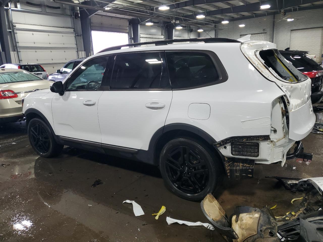 2023 Kia Telluride Sx - Фото 2