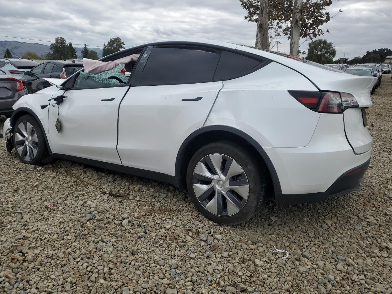 2023 Tesla Model Y - Image 2