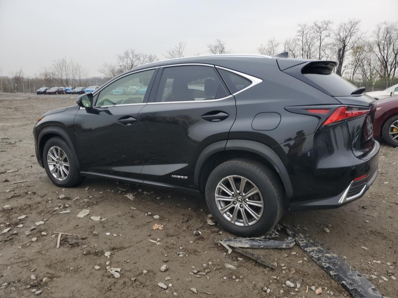 2019 Lexus Nx 300H - Фото 2